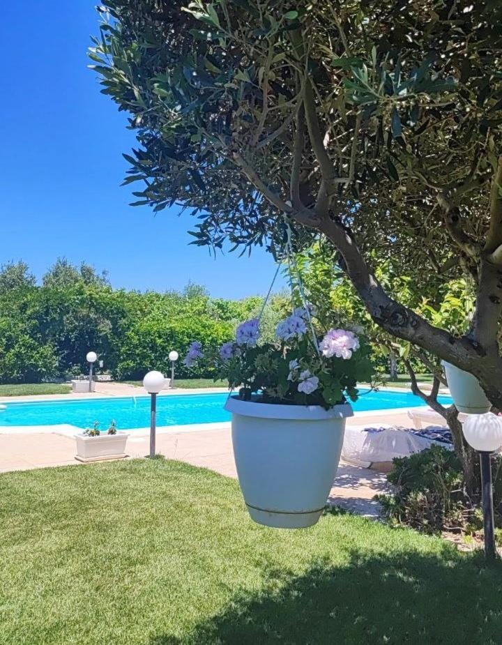 B&B Villa Antonella Piazza Armerina Dış mekan fotoğraf