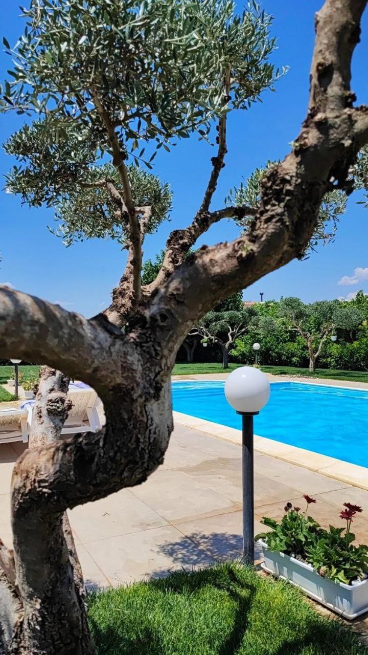 B&B Villa Antonella Piazza Armerina Dış mekan fotoğraf